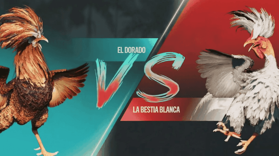 hh789 Plataforma Jogos e Slots
